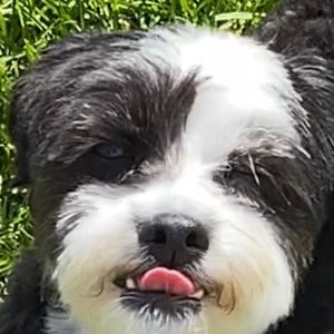 Meet your Posher, Karolina